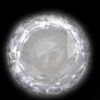 GIA Certified Ceylon White Round Brilliant Sapphire  9.1x9.0x4.2mmmm  3.43 carats - Image 8
