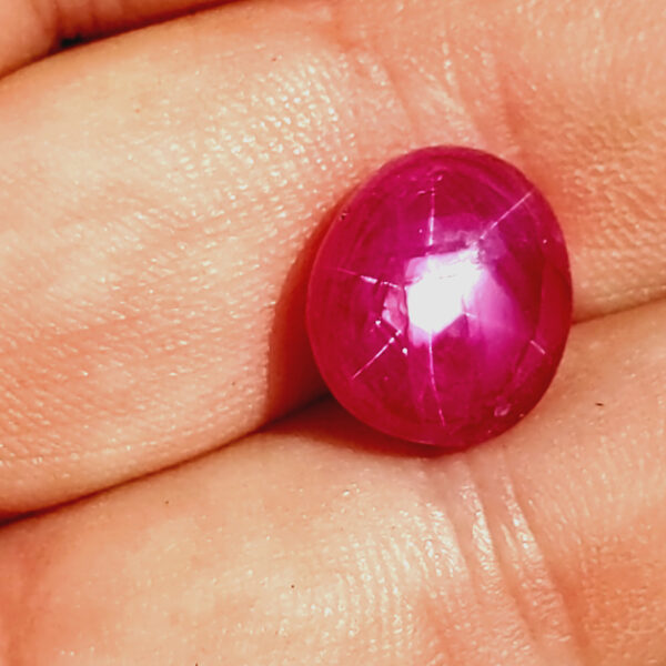AIG & AGTA Certified Untreated Burma Ruby Star  12.48 carats 12.69x11.10x7.98mm - Image 13