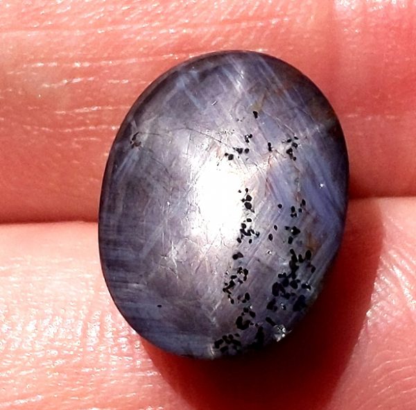 Indian Blue Star Sapphire 15.33 carats15x11.7x7mm - Image 8