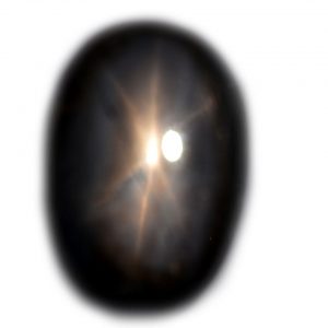 Thai Black Star Sapphire - 46.5 cts - 28.2x19.1x7.6mm