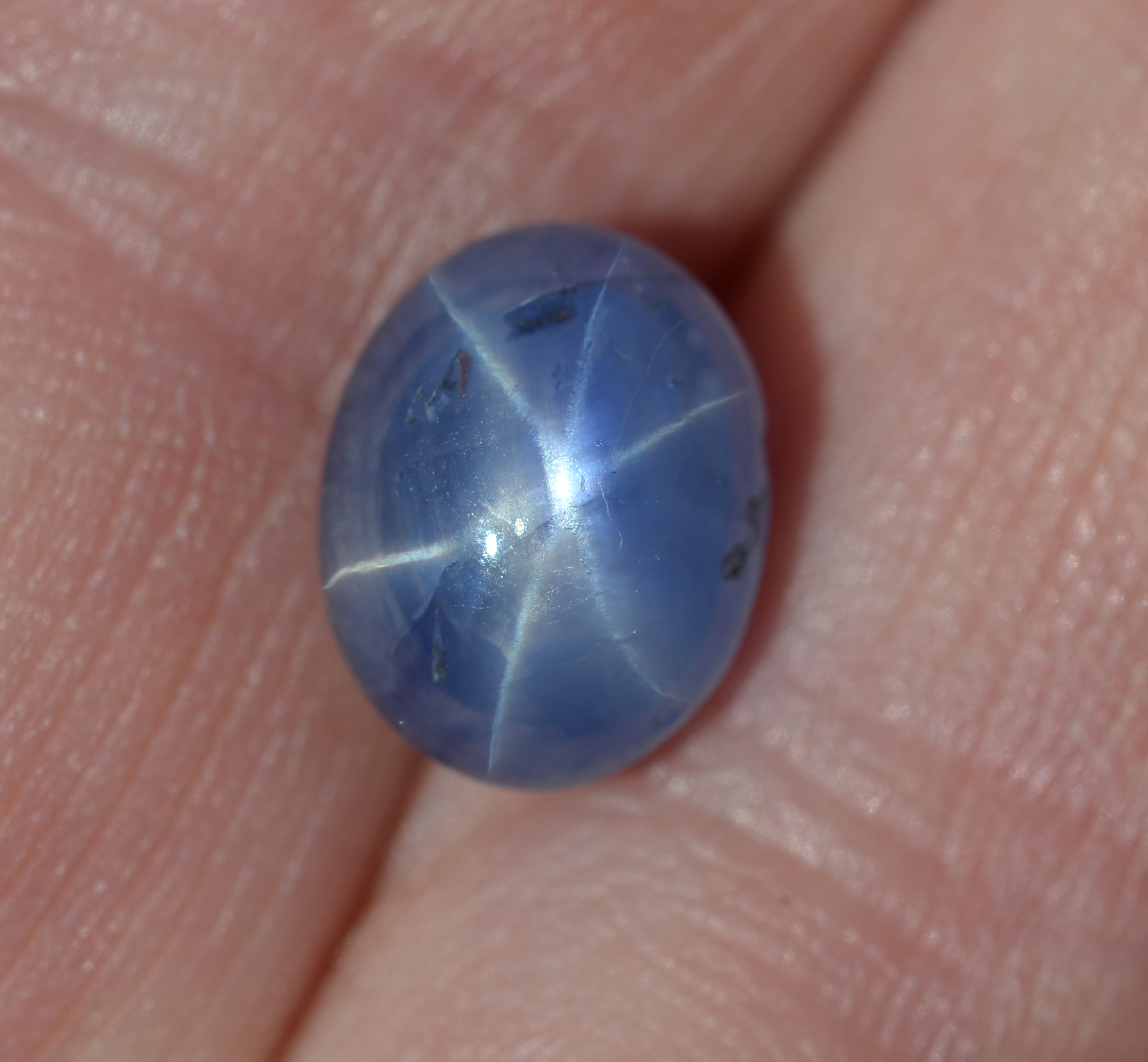 CGL Certified Ceylon Blue Star Sapphire 7.38 Carats 11.14x8.58x7.25mm