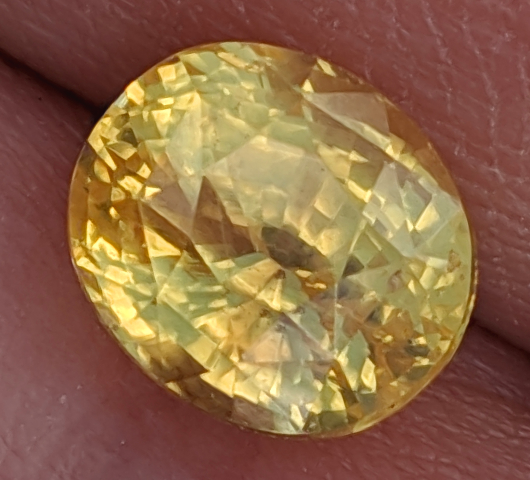 CGL Cerified Yellow Oval Sapphire 1.77 Carats 8.41x6.51x3.75mm